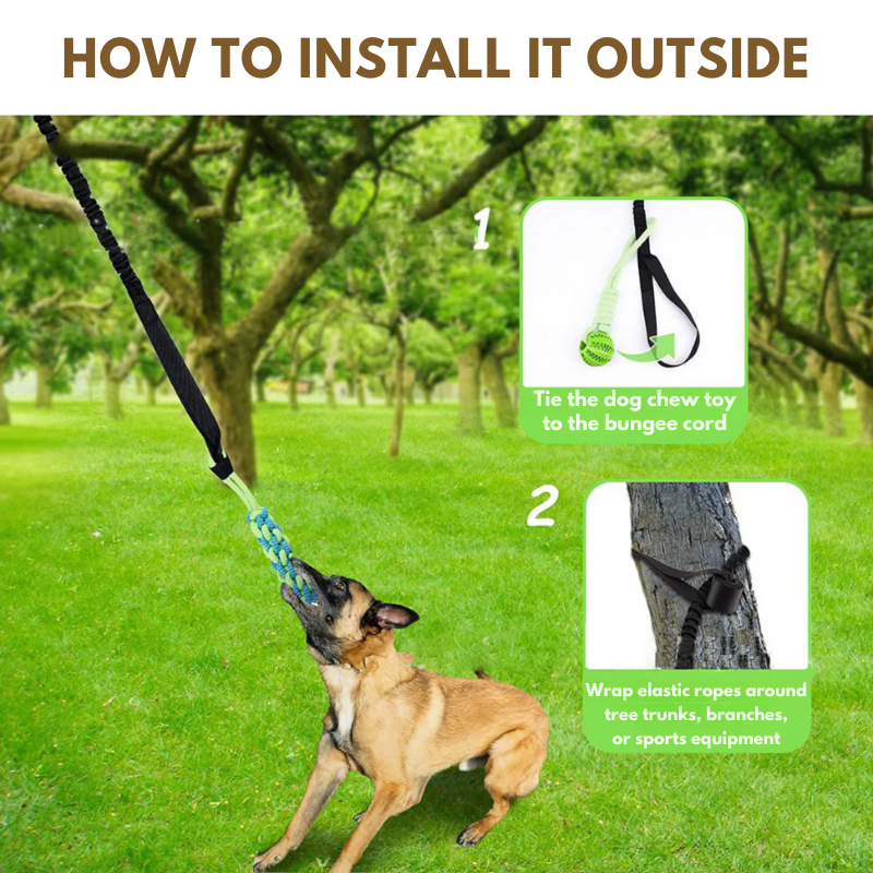 Juguete interactivo para perros: ¡diversión garantizada!