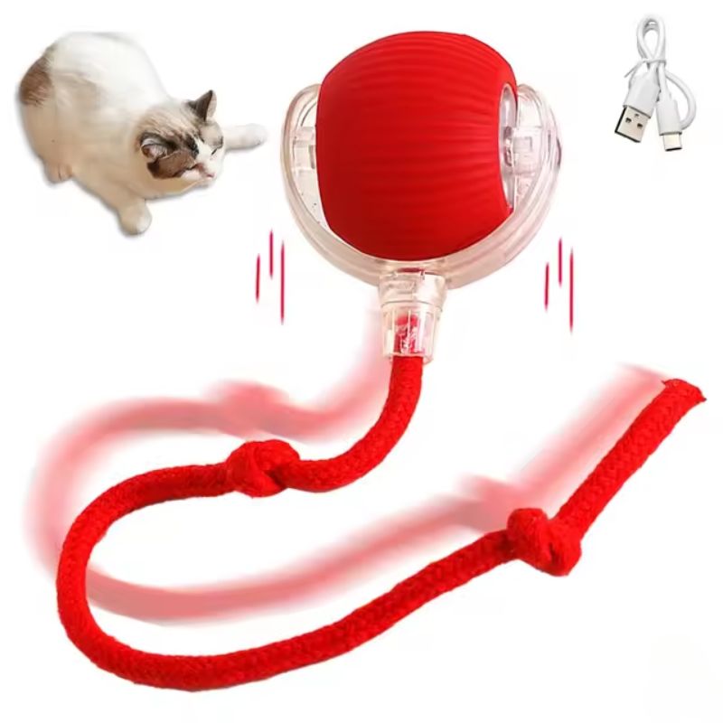 צעצוע קופצני עבור חתולים פעילים וסקרנים