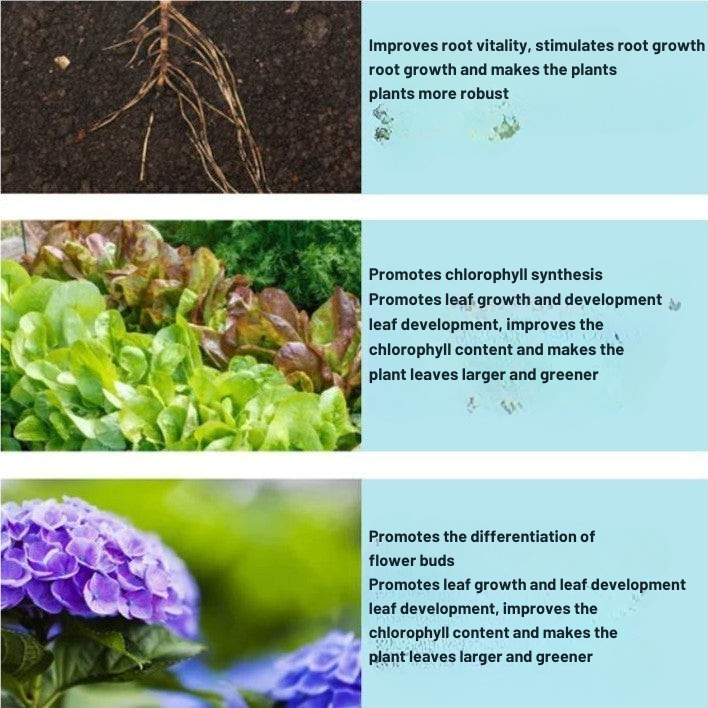Engrais concentré pour redonner vie à vos plantes naturellement