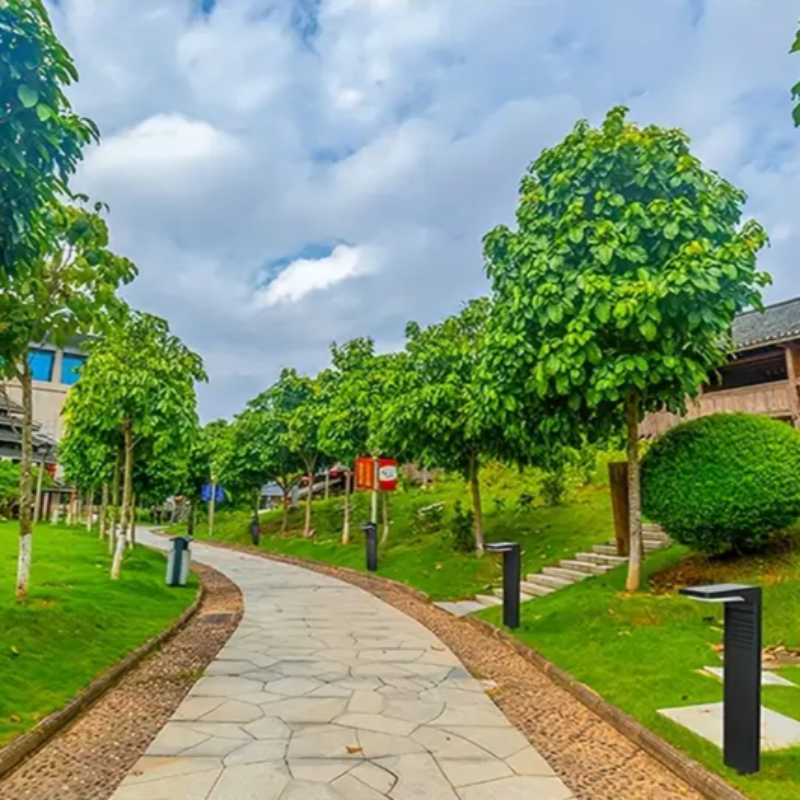 Illumina il tuo giardino senza elettricità né sforzo