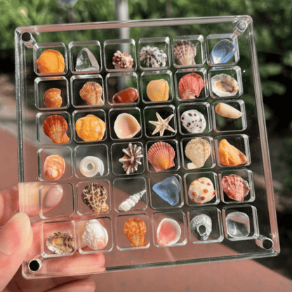 Exposez vos coquillages avec style et sécurité