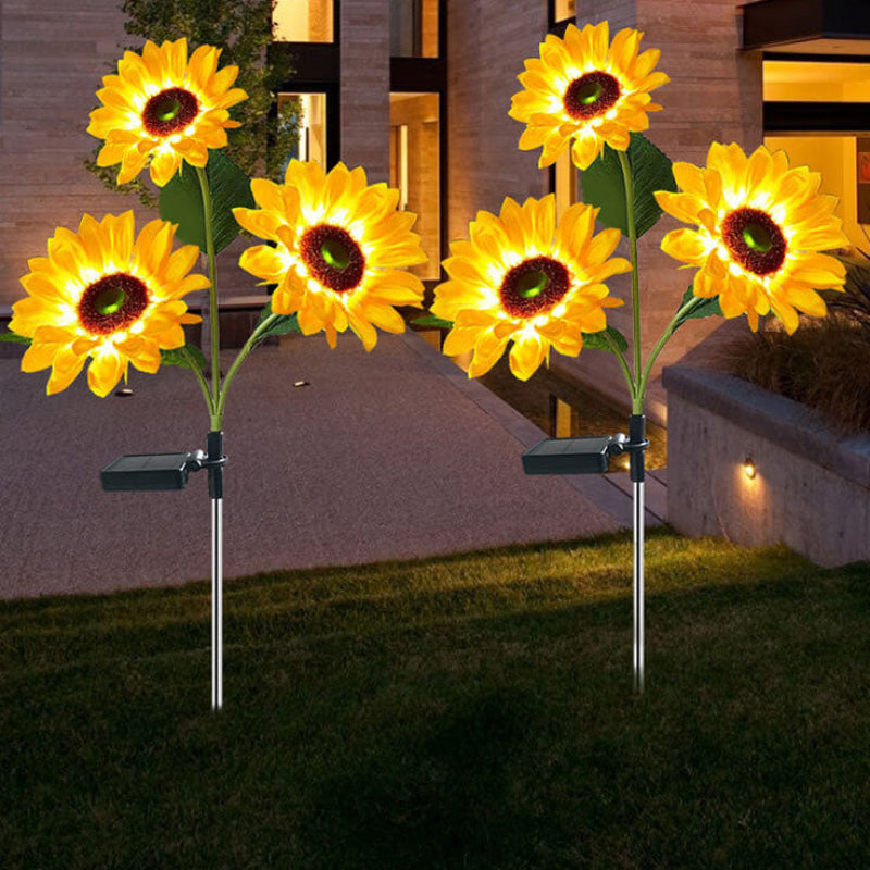 Opplys hagen din med solfylte solsikker 