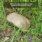 Discreet external key holder in the shape of a stone 