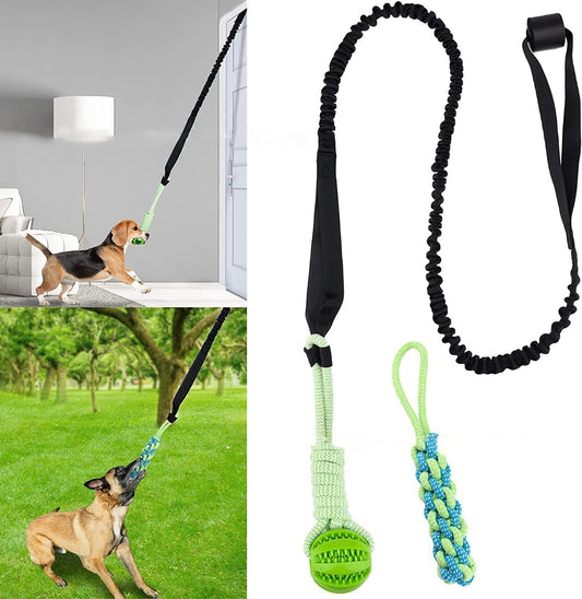 ChaseBall Jouet interactif roulant pour chien