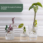 Støtte dekorative og fleksible stiklinger for planter (x3) 