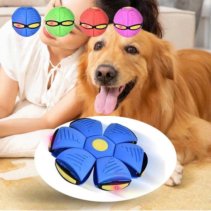 Het stuiterende speelgoed dat alle honden wakker maakt 