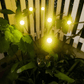 Świetliki lights™ - Magiczne Oświetlenie Zewnętrzne 