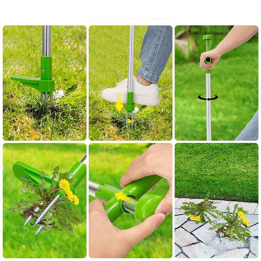 Extractor de malas hierbas de acero